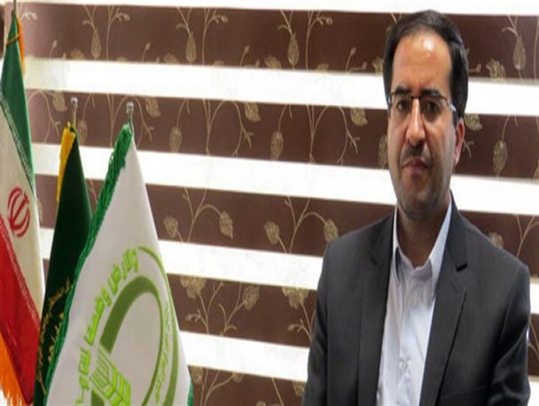 قزوین رتبه دوم تولید زیتون در کشور را کسب کرد/ طرح گردشگری کشاورزی در استان اجرا می‌شود