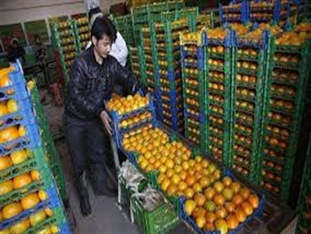 ردپای دلالان در عرضه میوه های زودرس با روش های مصنوعی