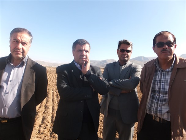 2 درصد کشاورزان کشور تحصیلات دانشگاهی دارند