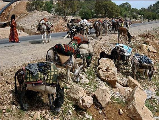 امداد رسانی به عشایر گرفتار سیلاب شهرستان سپیدان/ خسارات بارندگی به عشایر به حداقل رسید