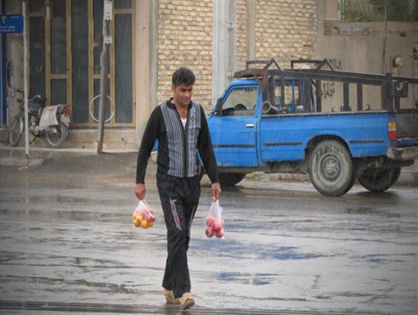 عکس: بوی طراوت بارش باران در فضای زرین دشت پیچید