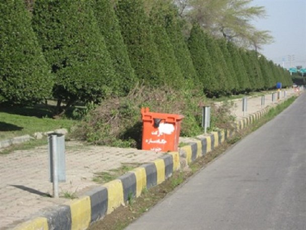 حساسیت پوستی باغبانان بعد از هرس کونوکارپوس؛ تحقیقات درباره کونوکارپوس ۲ سال زمان می‌برد