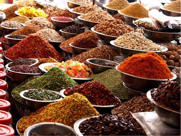 کارگاه آموزشی گیاهان دارویی در روستای یانچشمه برگزار شد