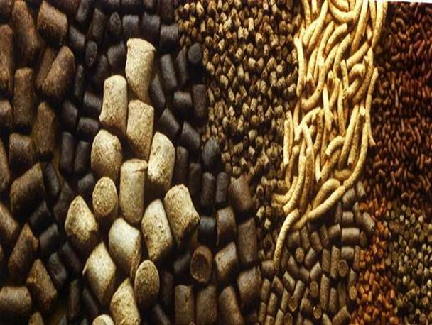 صادرات ۶۵۰۰ تن خوراک آبزیان به خارج از کشور در چهارمحال و بختیاری