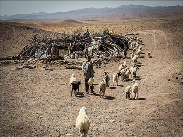 آغاز آهنگ مهاجرت تدریجی در رشتخوار
