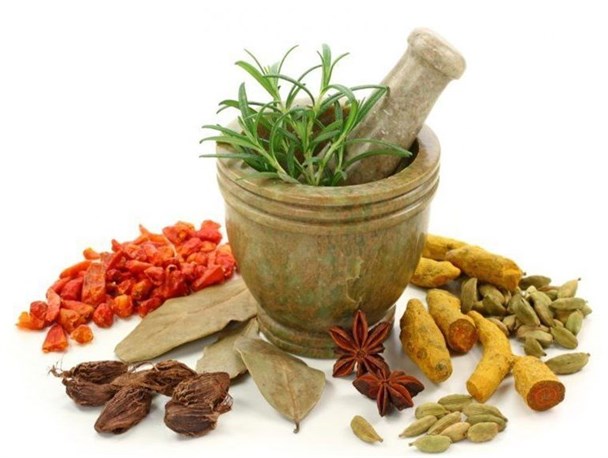 یک بیمار کرونا چه دمنوش‌ها و غذاهایی را بخورد/ استرس و خبرهای منفی بلای جان کرونایی‌ها