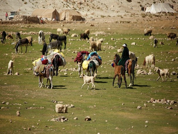 آغاز کوچ پاییزه عشایر به مناطق قشلاقی