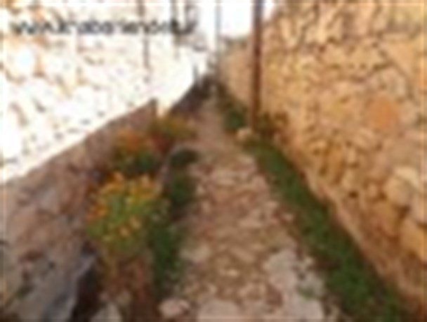 گلستان شدن کوچه بن بست با دستان دختر لنده ای+تصاویر