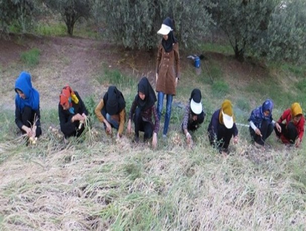 برگزاری اردوهای جهادی بسیج در بخش طارم سفلی
