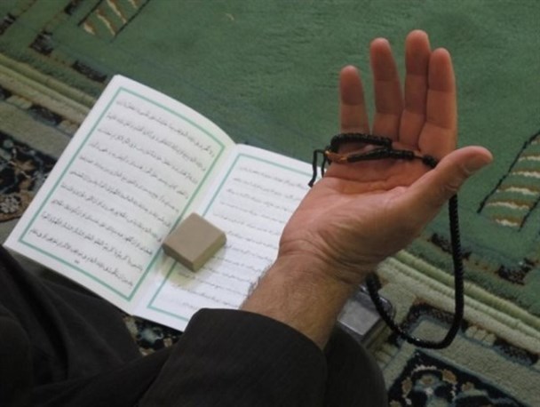 عکس/ زیارت حضرت رسول از راه دور