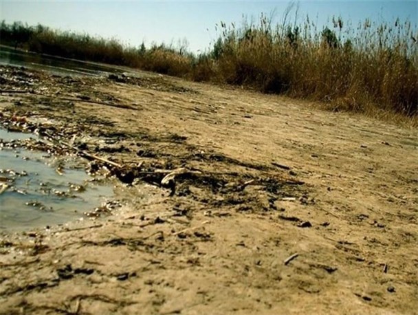 اصرار محیط زیستی ها بر یک ادعای واهی/لاهیجان زاده : نمایندگان بجای محیط زیست به سازمان آب و برق اعتراض کنند