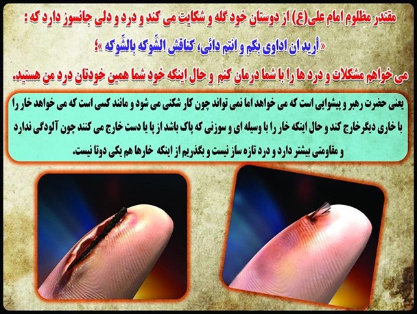 مصالح و منافع عمومی یک کشور باید محافظانی به اندازه جمعیت همان کشور داشته باشد