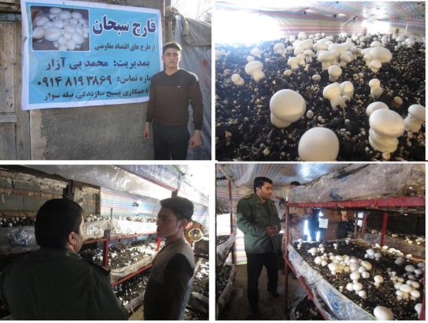 بازدید جانشین فرمانده سپاه بیله سوار  از کارگاه تولیدی قارچ خوراکی در روستای «ادولو» +تصاویر