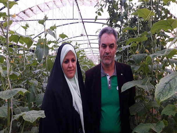 واردات میوه خارجی کمر باغداران را می شکند/ مدرک گرایی آفت جدی اشتغال جوانان کشور