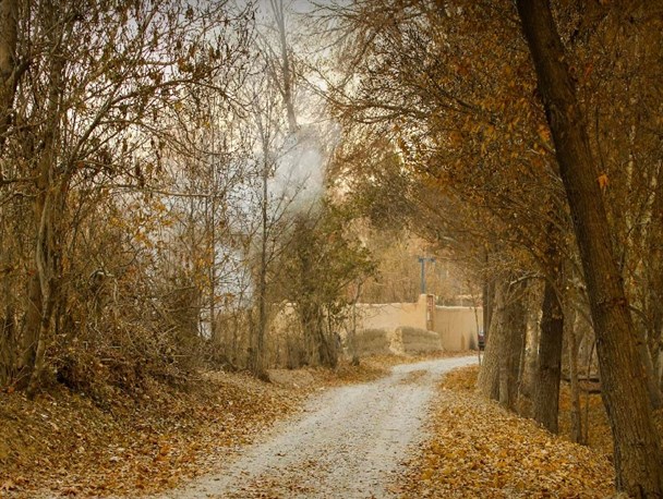 اصفهان به رنگ آخرین روزهای فصل خزان/ تصاویر