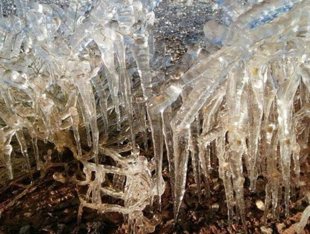 یخبندان در روستای خُنج خوروبیابانک/عکس
