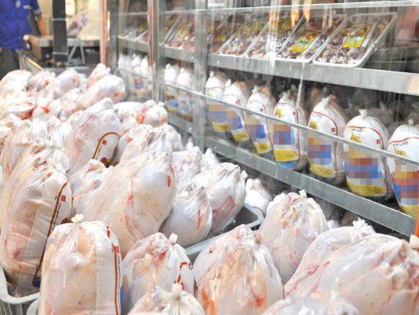 خودکفایی در تولیدگوشت مرغ نیازمند ایجادواحدهای جدید است/تولید سالیانه 1260تن گوشت مرغ در نیکشهر