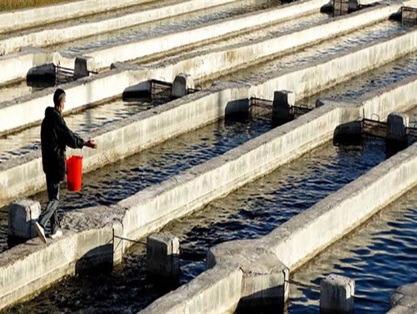 ۲ میلیارد تومان وام بلاعوض به شیلات آسیب دیده در سیلاب بروجرد پرداخت شد