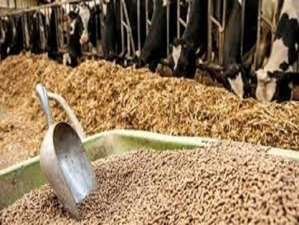 مشکلات سامانه بازارگاه موجب گله مندی تولیدکنندگان دام و طیور شده است