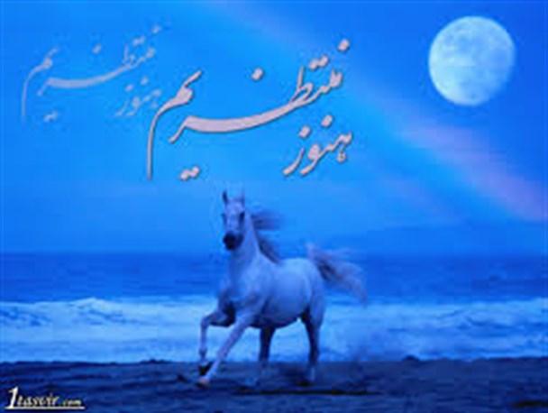 نهم ربیع عید تجدید بیعت