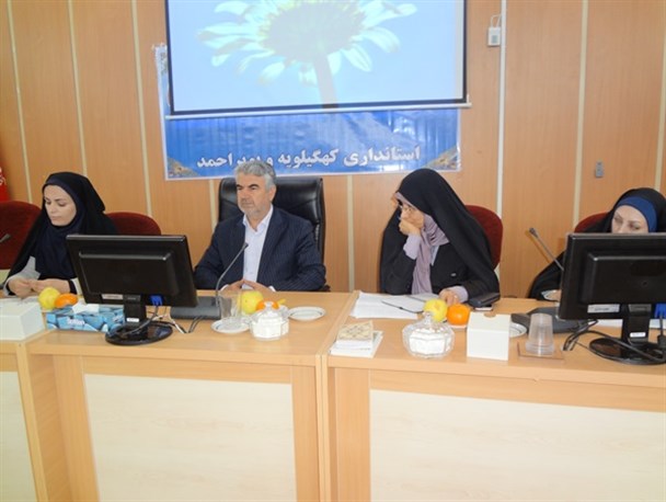 حاشیه های کارگروه زنان وخانواده کهگیلویه وبویراحمد