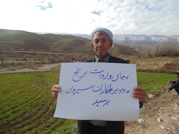 به جای واردات برنج به داد برنجکاران سیروان برسید/دولت:آفت مزارع برنج ایلام اعلام نشود+تصاویر