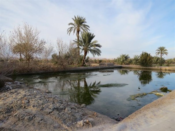 طراوت مهین دشت در زمستان/ تصاویر