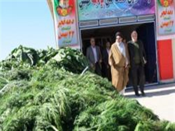 افتتاح سبزی خشک کنی طبس / دعوت نماینده طبس از سرمایه گذاران + تصاویر
