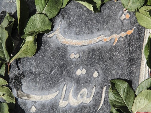 یاد شهیدان انقلاب اراک در قاب امنیت و استقلال+تصاویر