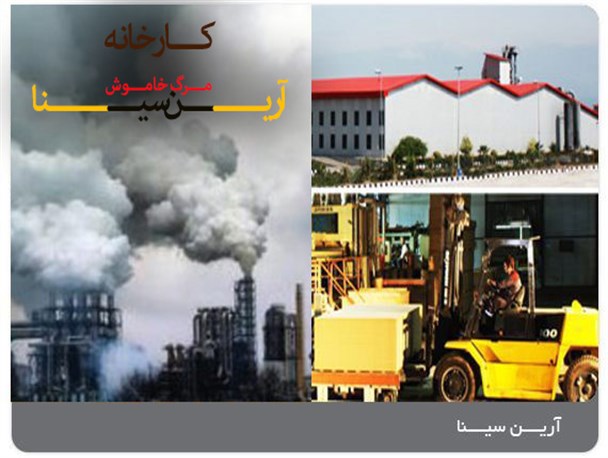 مشکلات زیست محیطی آرین سینا محرز است/ مسئولان حکم صادر کنند
