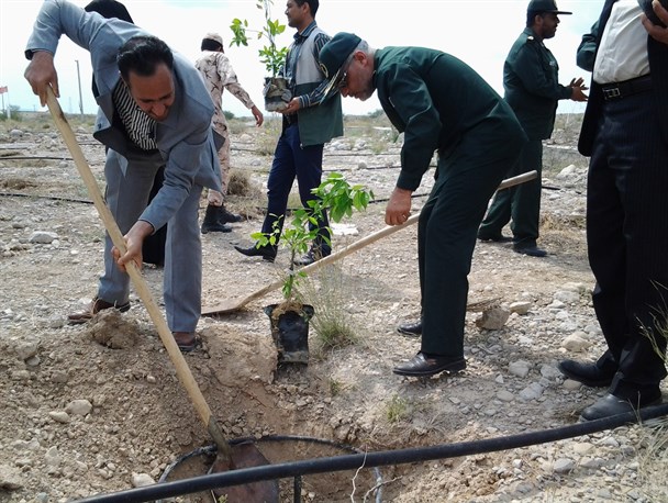 کاشت یک درخت در هفته درختکاری به نام شهید شاخص رسانه هرمزگان