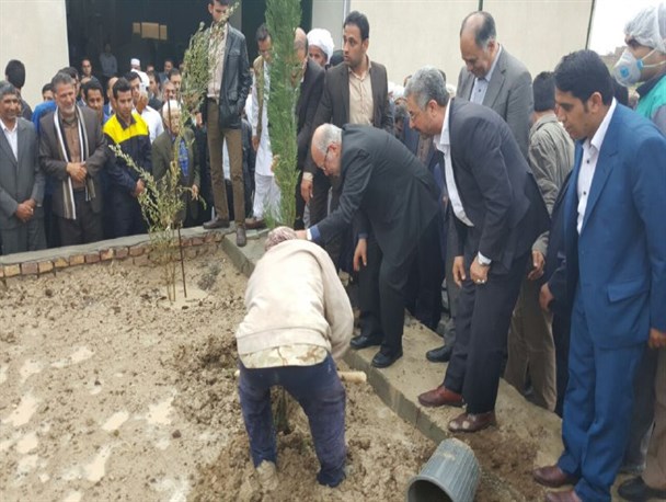 کاشت نهال توسط وزیرصنعت و معدن در نیمروز+ عکس