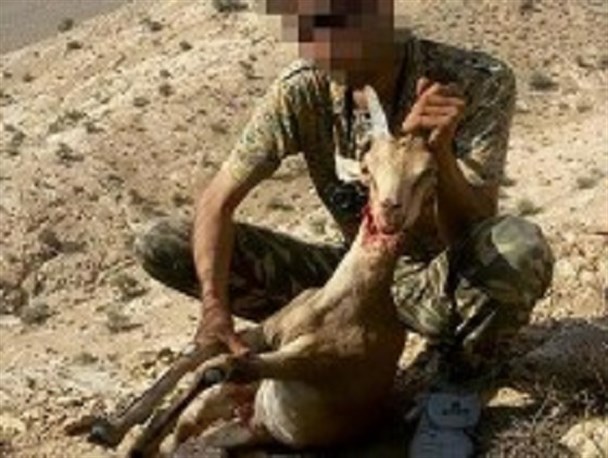 به دام افتادن شکارچیان متخلف در بویین میاندشت