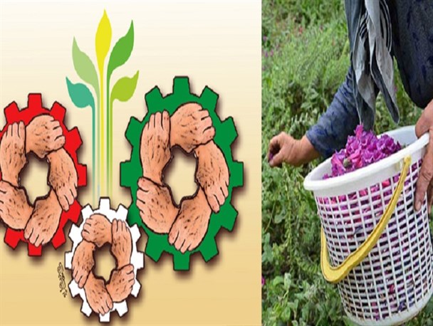 ظرفیت خوب دهاقان در کشت گیاهان دارویی و کم آب/ اعطای ۱۱۵۰میلیون تومان وام اقتصاد مقاومتی به متقاضیان دهاقانی