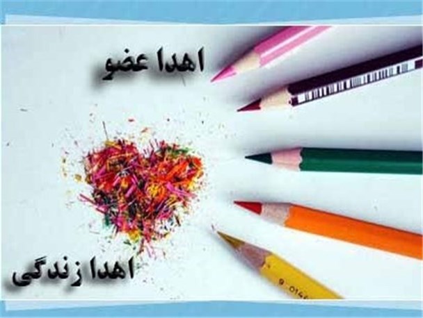 توصیه‌های بهداشتی برای نگهداری ماهی قرمز سفره هفت سین