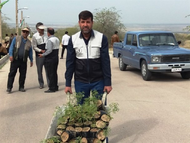 مراسم درختکاری توسط بسیج سازندگی در برازجان انجام شد+تصاویر