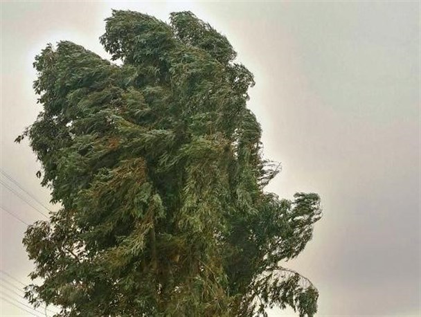 تندباد با سرعت 70 کیلومتر مهران را درنوردید