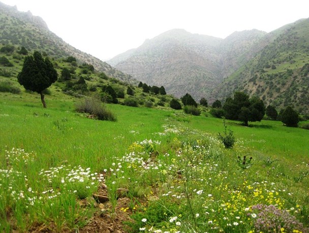 شهر هشجین مقصد سفر گردشگران در نوروز/تصاویر
