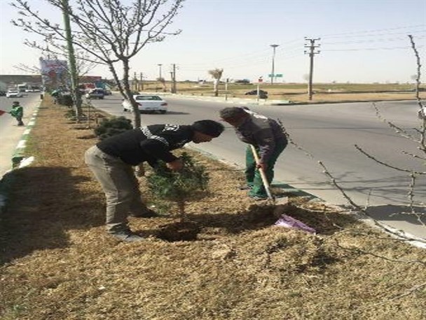 طرح جهادی کاشت ده هزار نهال در نقاط سبز شهر کهریزک به پایان رسید