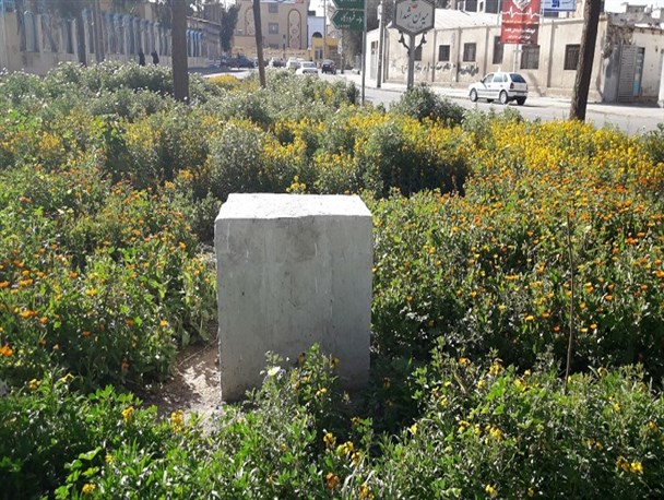​اِلِمان شهدای زن سیستان وبلوچستان و ده ها حاشیه/ وقتی مسئولان توان انجام یک کار ساده را ندارند!