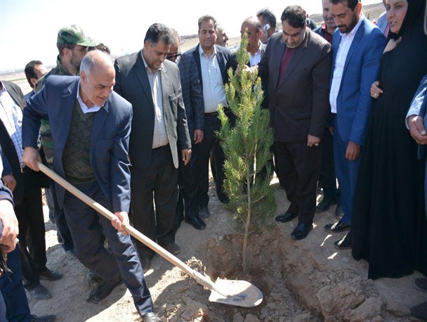 توزیع ۱۷ هزار اصله نهال در میان دوستداران طبیعت در رباط کریم