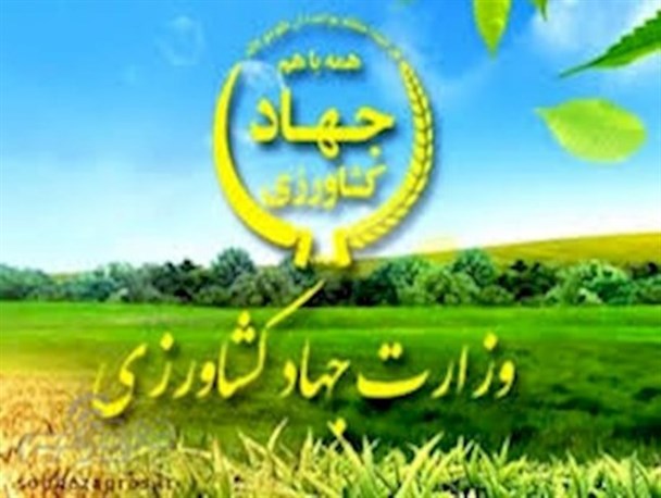 گلایه نیروهای قراردادی جهاد کشاورزی کهگیلویه و بویراحمد