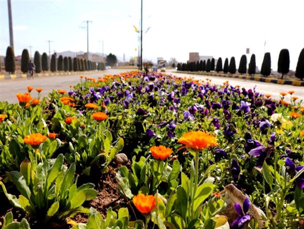 گلباران مقدم بهار با کاشت ۳۰۰ هزار بوته گل در اسفراین