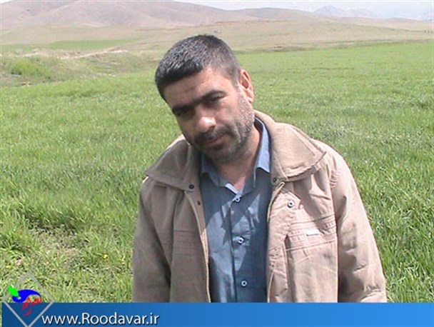 طغیان سن کمر محصولات کشاورزی تویسرکان را می شکند