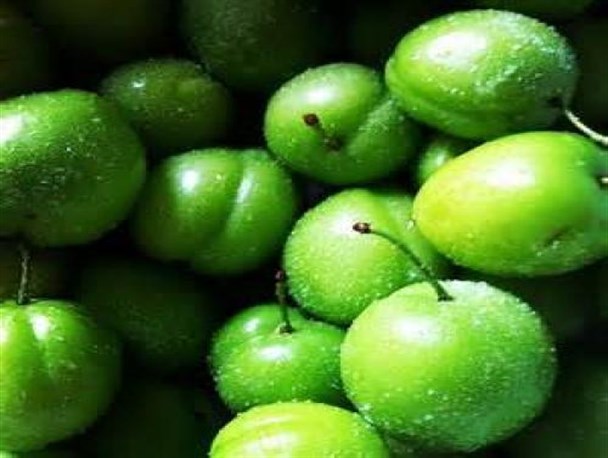 میوه‌های نوبرانه با قیمت نجومی در سمنان /گوجه سبز، کیلویی50هزار تومان