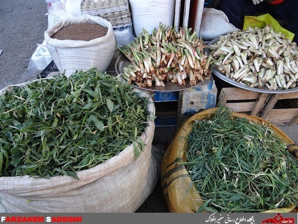 گیاهان خوراکی؛ بازار خرم آباد را عطر آگین کرد/ مهمانی مردم لرستان بر سفره سبز طبیعت