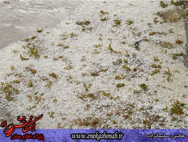 بارش شدید تگرگ و باران بناب را در نوردید+عکس