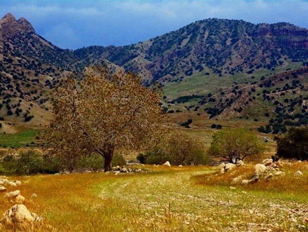 تصاویر/تابلویی رنگارنگ از طبیعت گچساران
