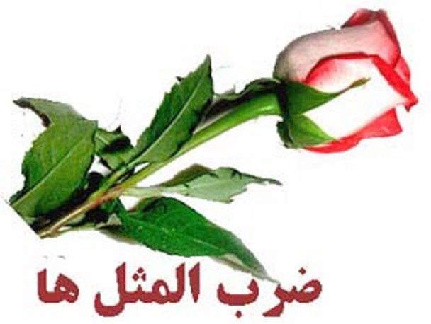 اَرمونی تَه مَستی یی - خوش به حال سرمستی و شادی تو