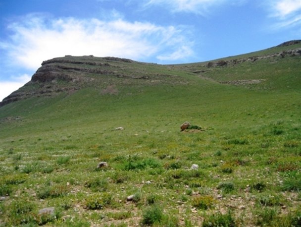 خودداری دامداران از چرای زود هنگام احشام در مراتع/ منابع طبیعی کمیجان نیازمند مراقبت بیشتری است